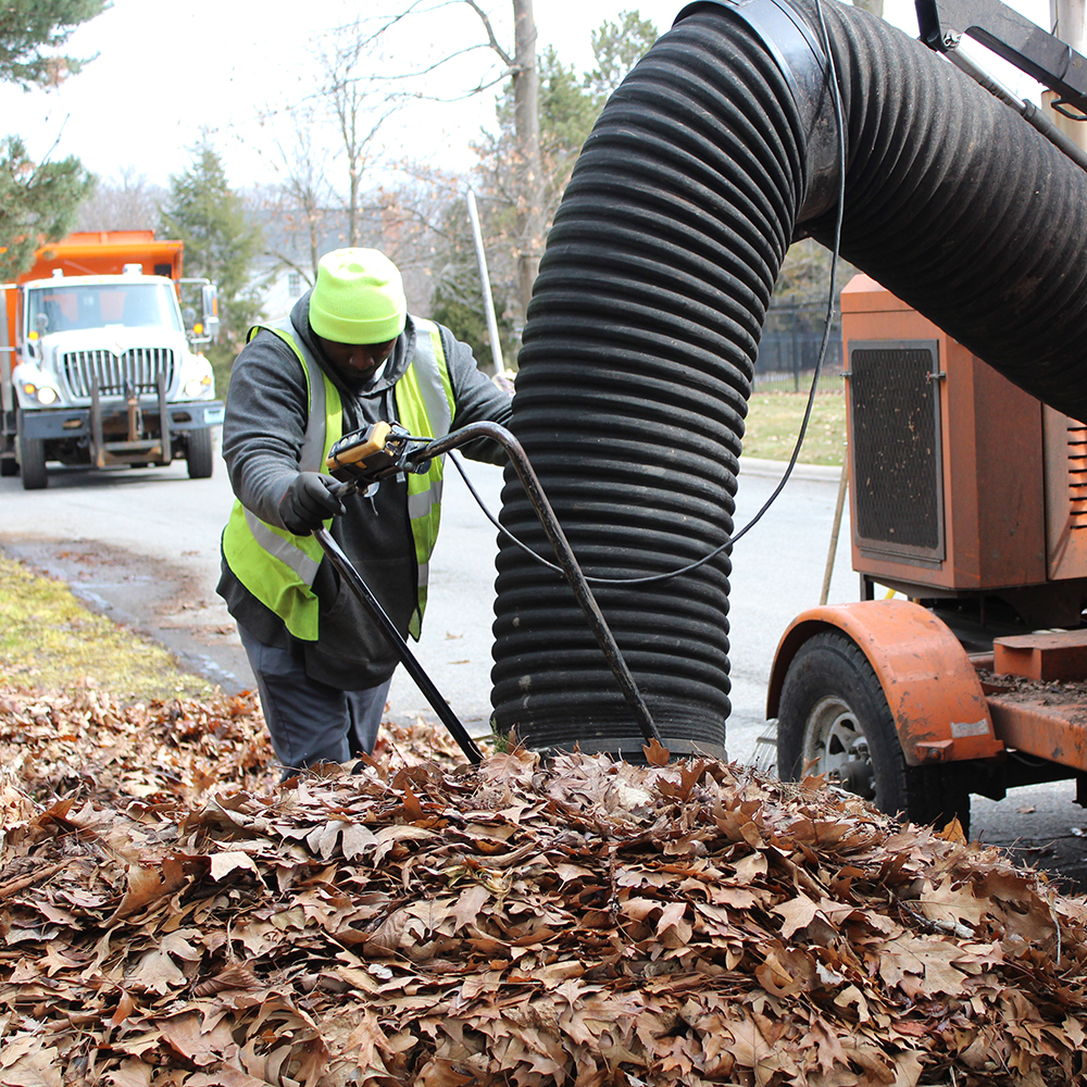 A City employee collects leaves in a neighborhood