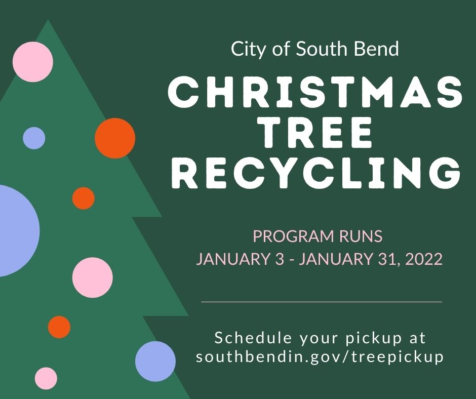 City to Offer Free Christmas Tree Recycling - South Bend, Indiana