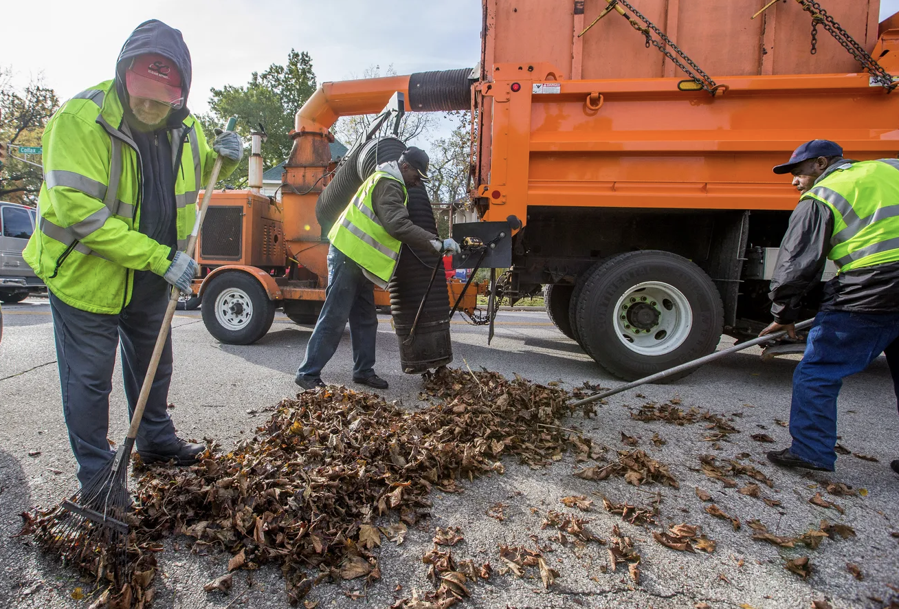 City Employees pick up leaves in the City Re-Leaf program
